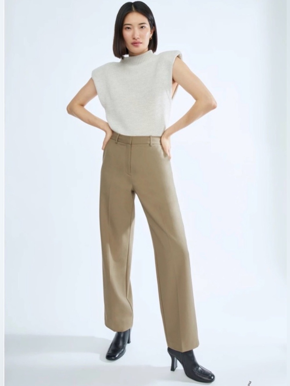 Aritzia Babaton Agency Pant - Wool